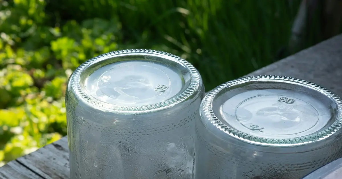 Two empty glass jars drying upside down outdoors in sunlight