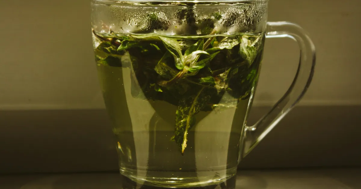 A glass mug of fresh mint leaves steeping in hot water on a windowsill